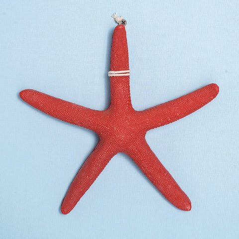 Resin Five Finger Starfish - HOMYEA