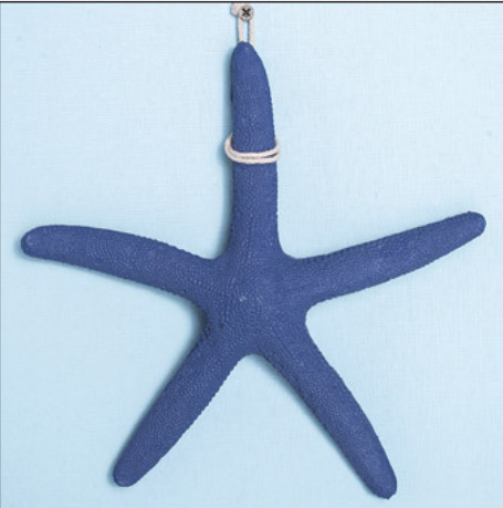 Resin Five Finger Starfish - HOMYEA