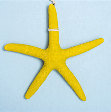 Resin Five Finger Starfish - HOMYEA