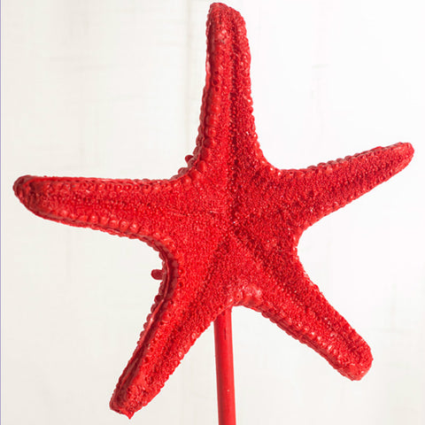 Resin Starfish With Base - HOMYEA