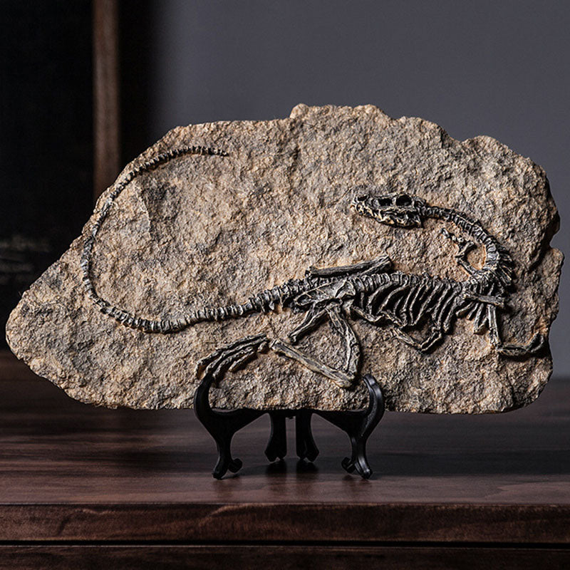 Resin Dinosaur Fossil Art Craft - HOMYEA