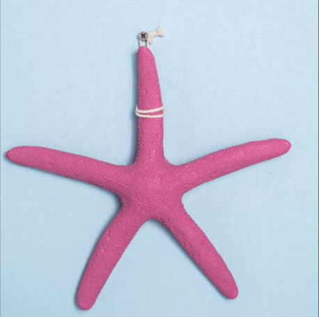 Resin Five Finger Starfish - HOMYEA