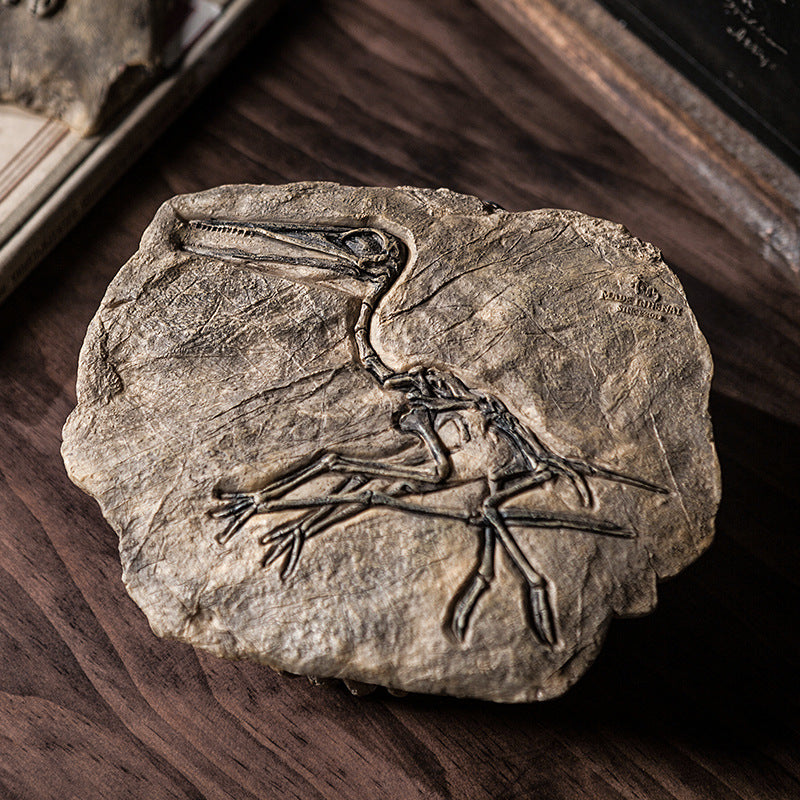 Resin Dinosaur Fossil Art Craft - HOMYEA